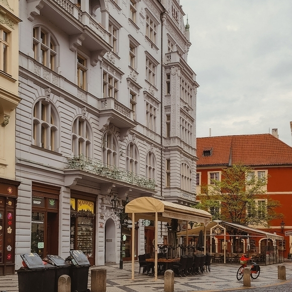 Meet your Posher, Fevie - Picture 12 of 14